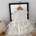 Korean Kidswear Floral Embroidered Tulle Princess Dress | White (Instock)