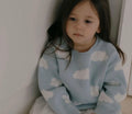 AVOVHOUSE Baby Blue Floral Knit Sweater – Korean Kidswear